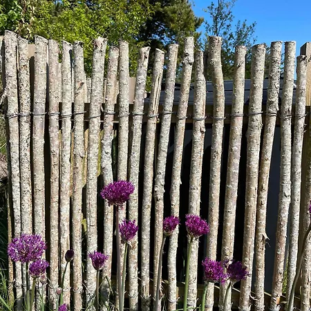 Bolig Med Plads Til Hele Famillien Frostrup