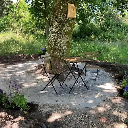 Bolig Med Plads Til Hele Famillien